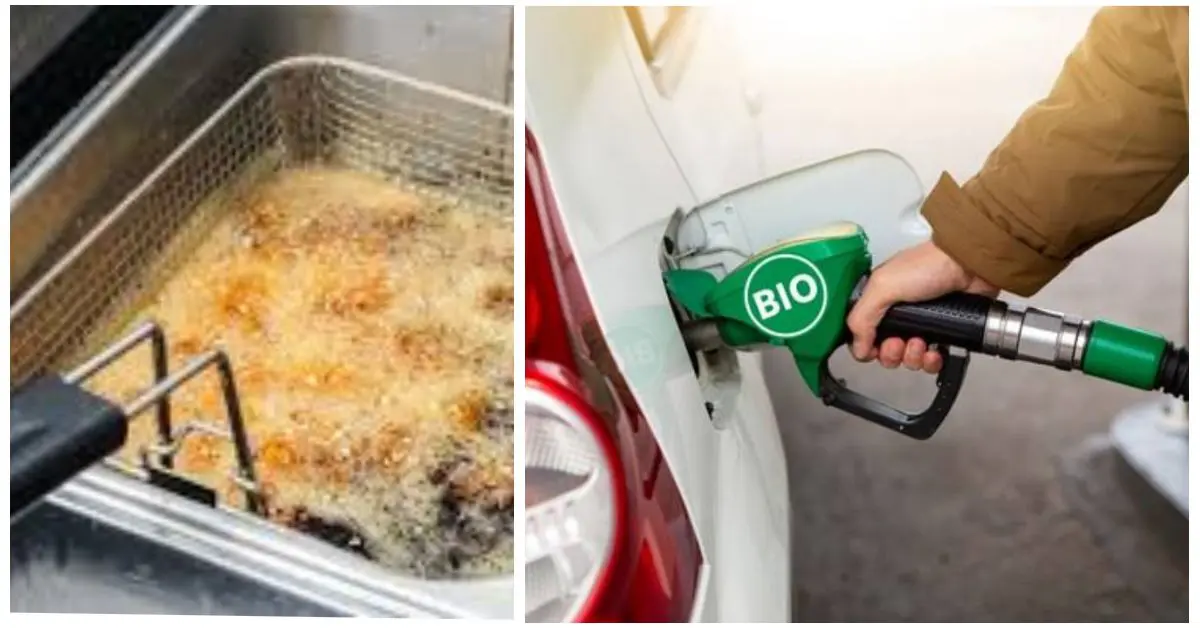 Transformer l’huile de friture en biocarburant : le concept novateur d’une startup algérienne