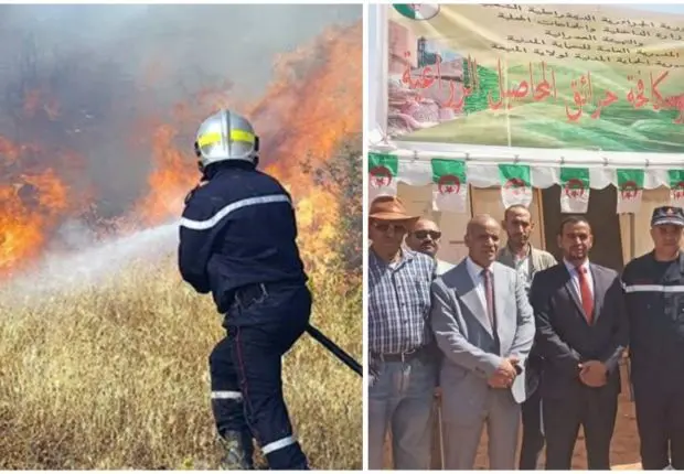 Incendies des récoltes en Algérie : la DGPC lance une campagne de sensibilisation dans le sud