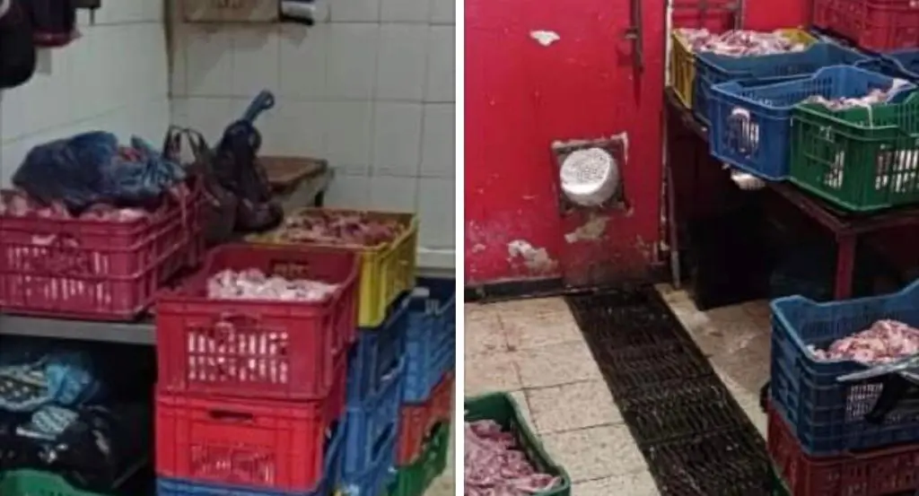 Alger : importante quantité de viande avariée saisie, un individu en détention provisoire