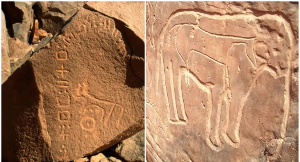 Béchar : inscriptions en tifinagh datant de 3000 ans découvertes