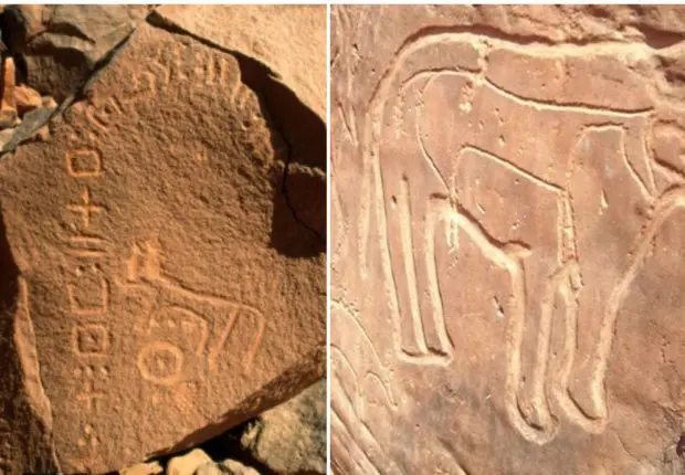 Béchar : inscriptions en tifinagh datant de 3000 ans découvertes