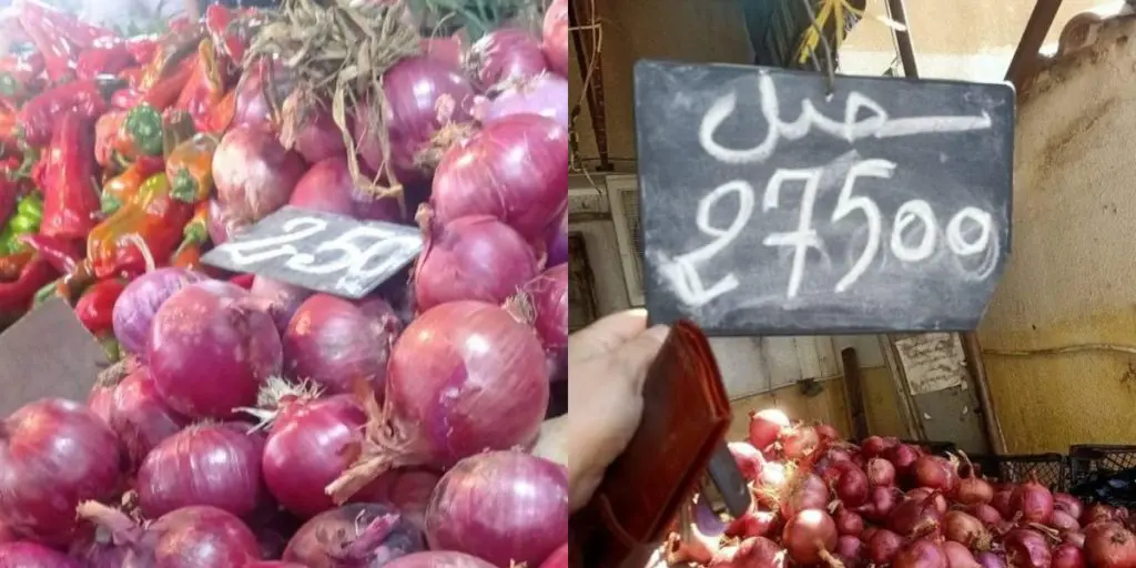 Aliment de base de la cuisine algérienne, l’oignon voit son prix flamber durant ce Ramadan