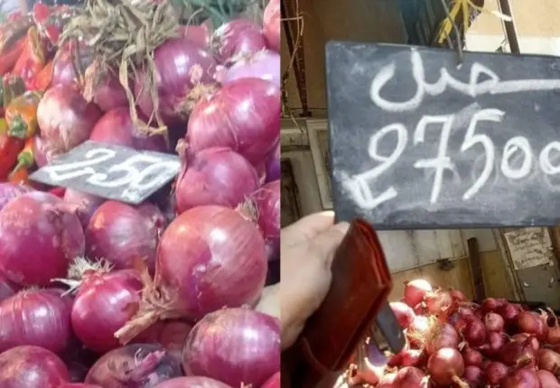 Aliment de base de la cuisine algérienne, l’oignon voit son prix flamber durant ce Ramadan