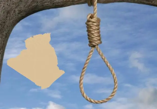 Chlef : porté disparu depuis hier, un enfant de 12 ans retrouvé pendu à un arbre à Ténès