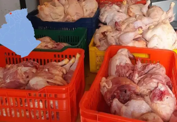 Relizane : saisie de plus de 130 kg de viande blanche avariée