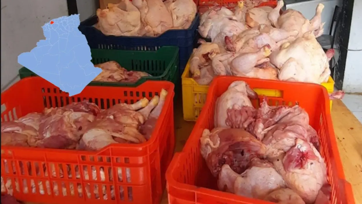 Relizane : saisie de plus de 130 kg de viande blanche avariée