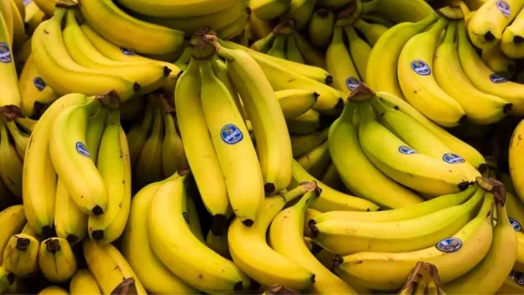 Baisse de prix de la banane en Algérie : le ministre prend des mesures