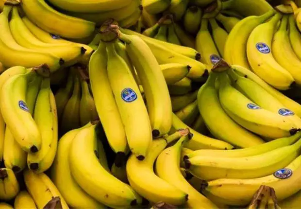 Baisse de prix de la banane en Algérie : le ministre prend des mesures