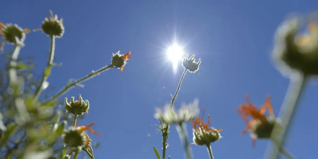Prévisions Météo Algérie : persistance d’un temps printanier sur tout le pays ce 12 avril