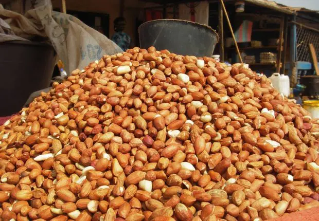 Aïd el Fitr 2023 : atteignant des records, le prix des cacahuètes dénoncé par l&rsquo;APOCE