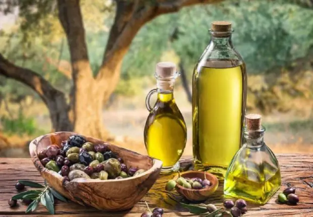 Concours international d&rsquo;huile d&rsquo;olive : deux marques algériennes récompensées au Japon