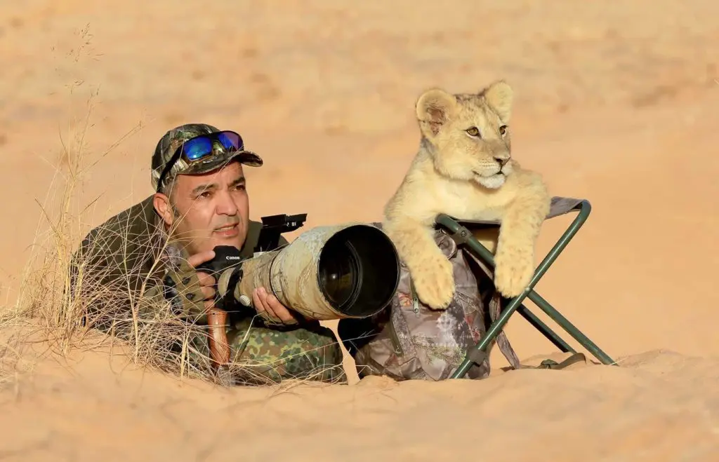 En shooting à côté d’un lionceau, un photographe algérien enflamme la toile