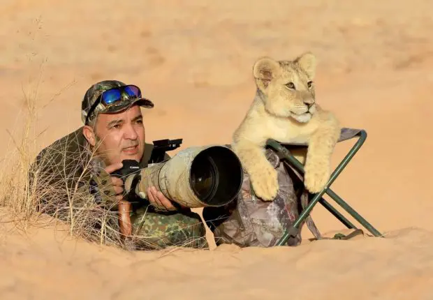En shooting à côté d&rsquo;un lionceau, un photographe algérien enflamme la toile