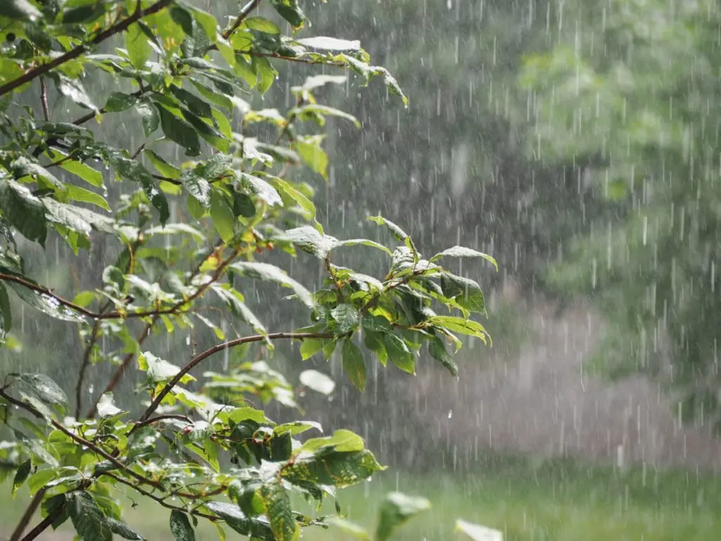 BMS – Météo Algérie : temps froid, pluies et orages… Les prévisions pour ce lundi 3 avril