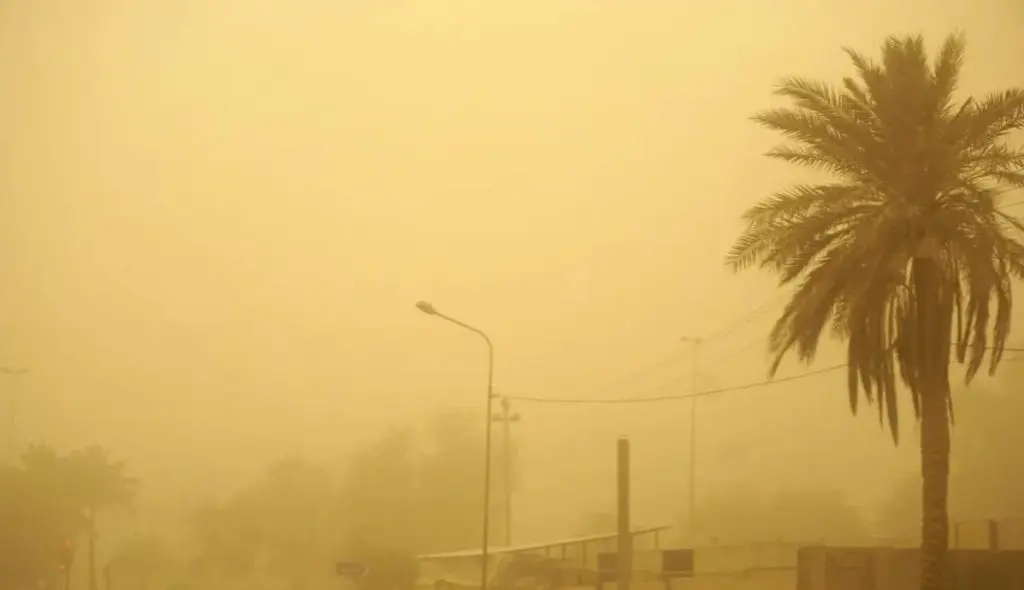 Météo Algérie pour ce 6 avril : ciel voilé et vents violents sur plusieurs wilayas du Sud