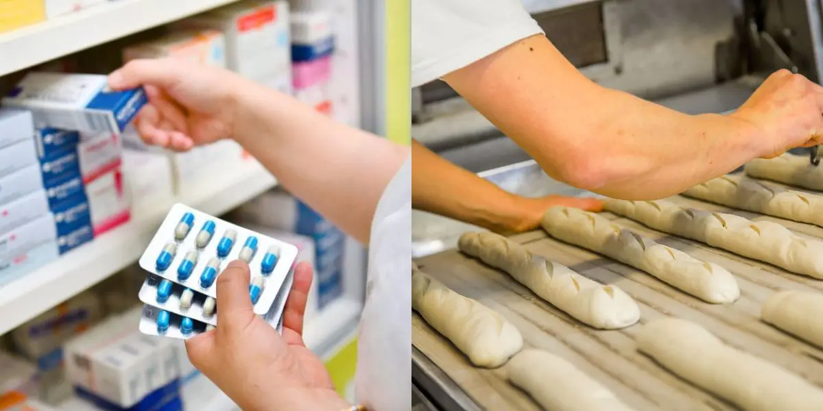 Skikda – ANEM : l’offre d’emploi de boulanger exigeant d’être pharmacien fait le buzz