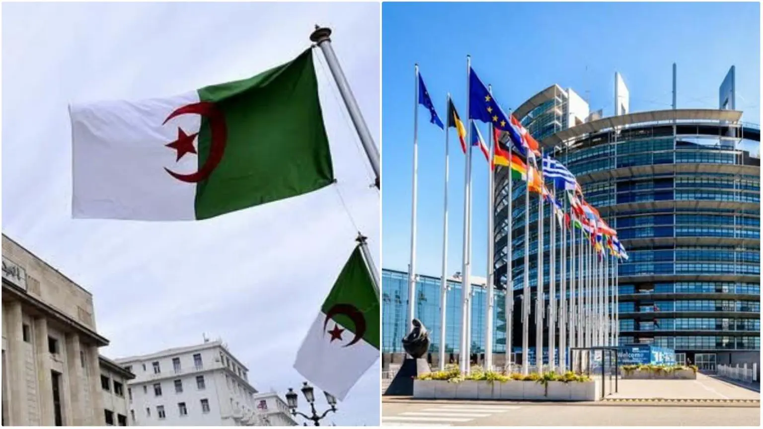 Liberté de la presse : le Parlement européen épingle l’Algérie qui réagit violemment