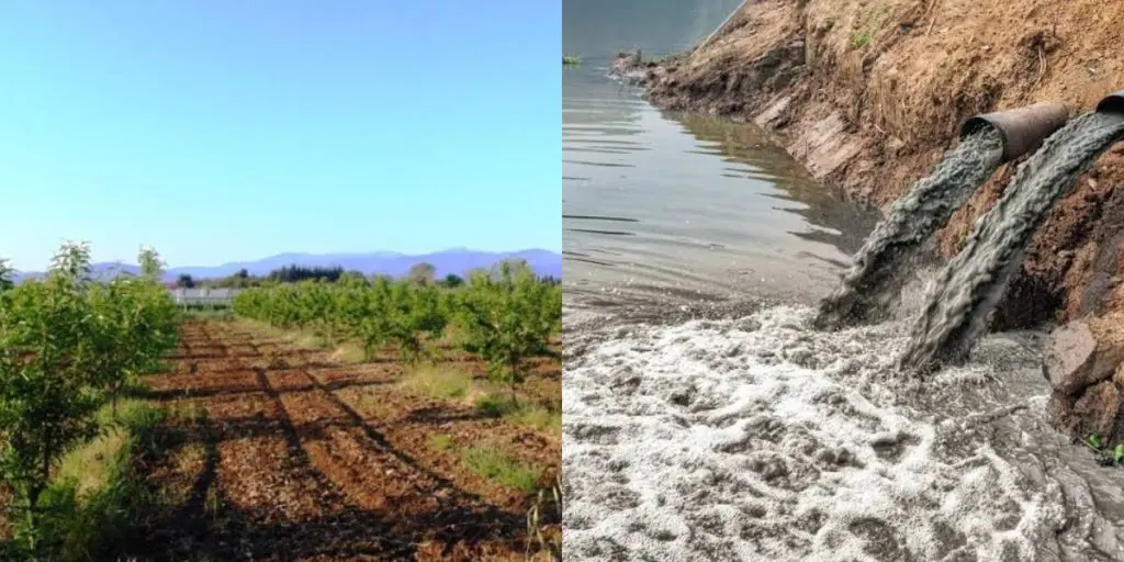 Utilisation d’eaux usées pour irriguer des récoltes à Biskra