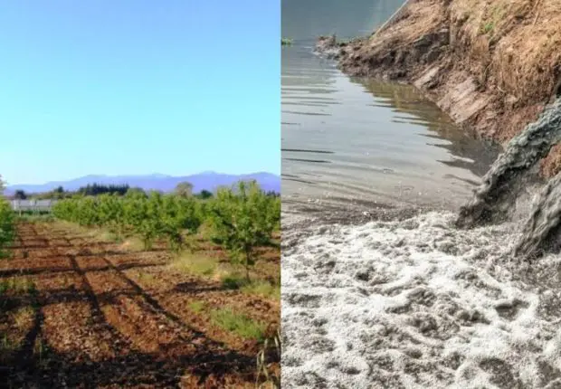 Utilisation d’eaux usées pour irriguer des récoltes à Biskra