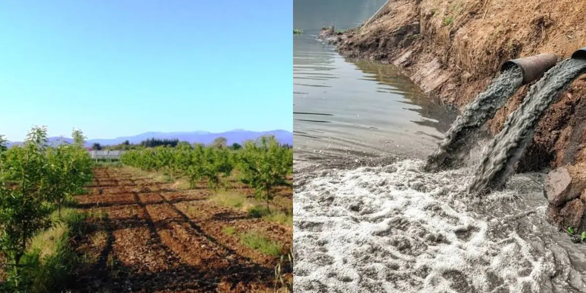 Utilisation d’eaux usées pour irriguer des récoltes à Biskra
