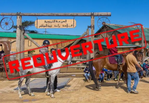 Ferme pédagogique d’Alger : fermée et rouverte en 24h, le gérant s&rsquo;explique