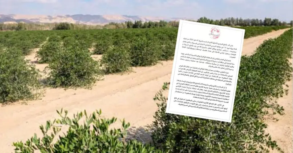 Le projet agricole de Tazej à M’sila tourne à la polémique
