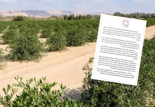 Le projet agricole de Tazej à M&rsquo;sila tourne à la polémique