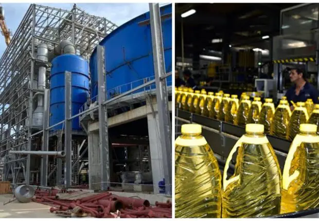 Cevital inaugurera prochainement sa nouvelle usine de production d’huile de table à Béjaia