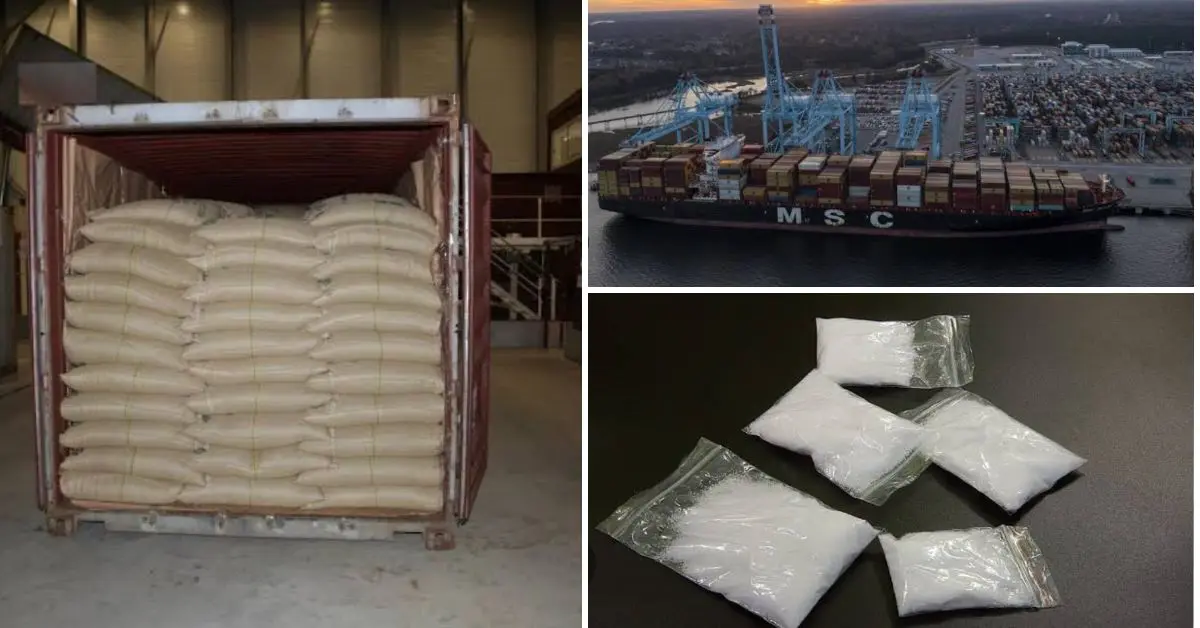 Un conteneur rempli de cocaïne à destination du port d’Oran intercepté en Espagne