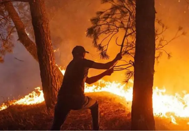 Une wilaya interdit l’accès à ses forêts en prévention des incendies d’été