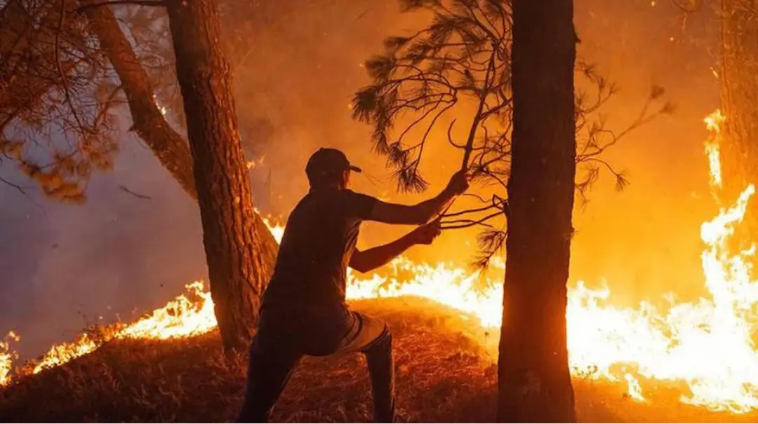 Une wilaya interdit l’accès à ses forêts en prévention des incendies d’été