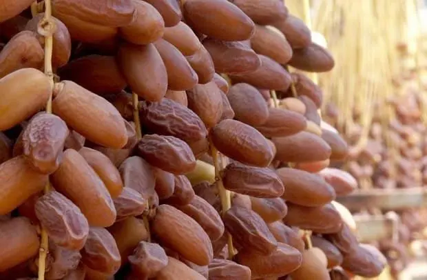 Paris : la datte algérienne Deglet Nour signe sa présence aux Galeries Lafayette