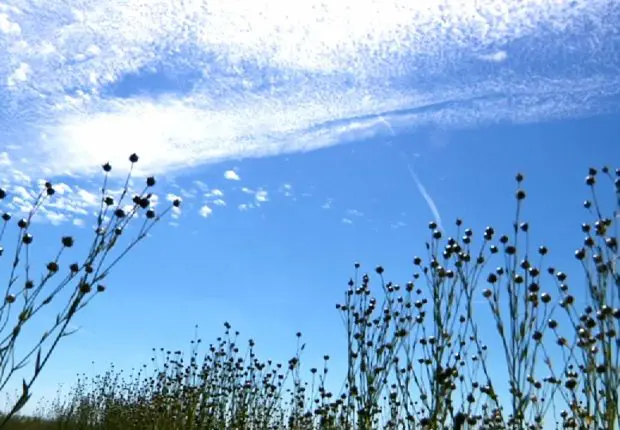 Bulletin météo Algérie : persistance d’un temps printanier sur l’ensemble du pays ce 4 mai