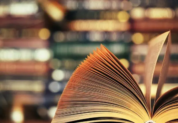 Bled, Maboul, Gourbi… Ces mots que le français a emprunté au dialecte algérien