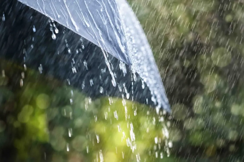 Prévisions Météo Algérie : des averses de pluie annoncées pour ce dimanche 28 mai