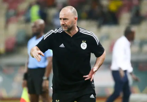 Equipe d’Algérie : Belmadi annonce l’arrivée de nouveaux joueurs