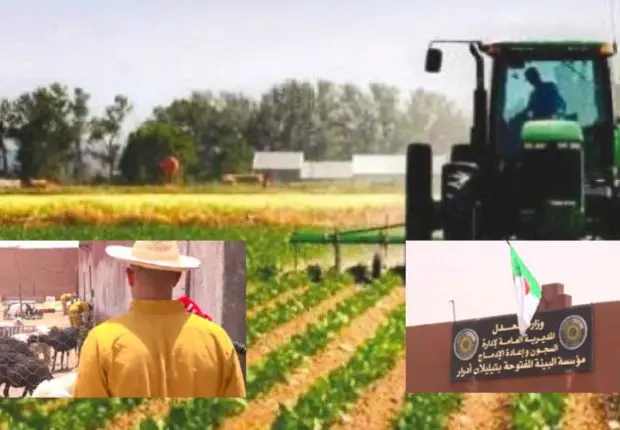 « L’Environnement Ouvert », le concept d’une prison algérienne pas comme les autres