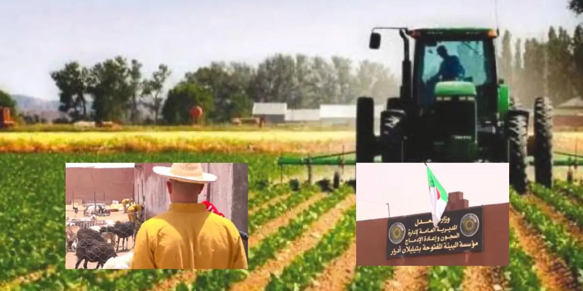 « L’Environnement Ouvert », le concept d’une prison algérienne pas comme les autres