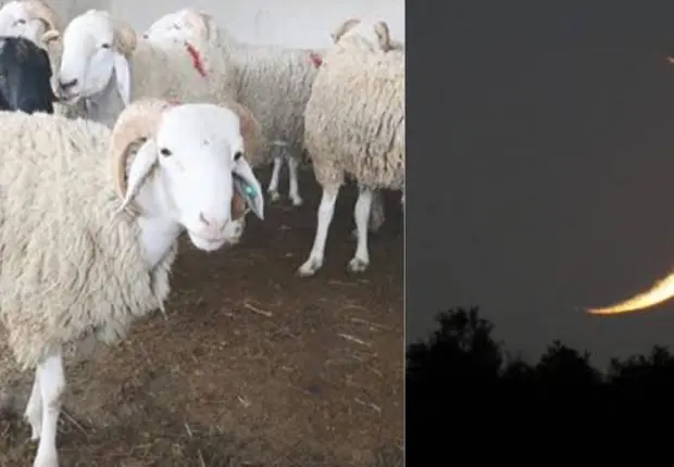 L’Arabie Saoudite et d’autres pays officialisent la date de l’Aïd Al Adha 2023