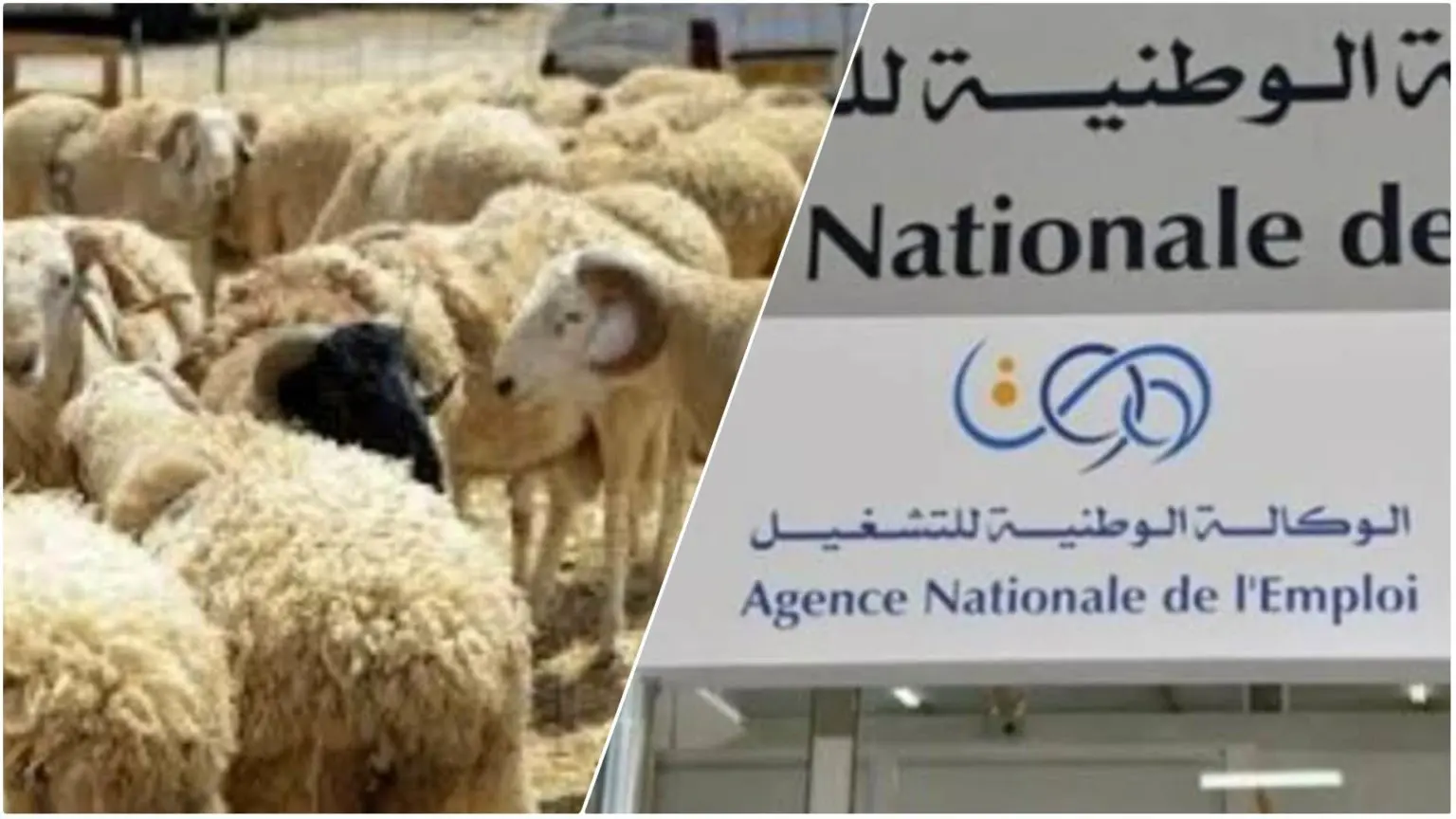 Date de versement de l’allocation chômage avancée à l’occasion de l’Aïd el-Adha 2023