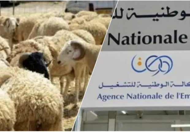 Date de versement de l’allocation chômage avancée à l’occasion de l’Aïd el-Adha 2023