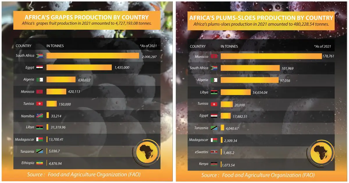 production raisins prunes Algérie 2021