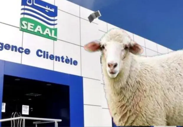 Aïd el-Adha 2023 : la SEAAL annonce le lancement de mesures spéciales