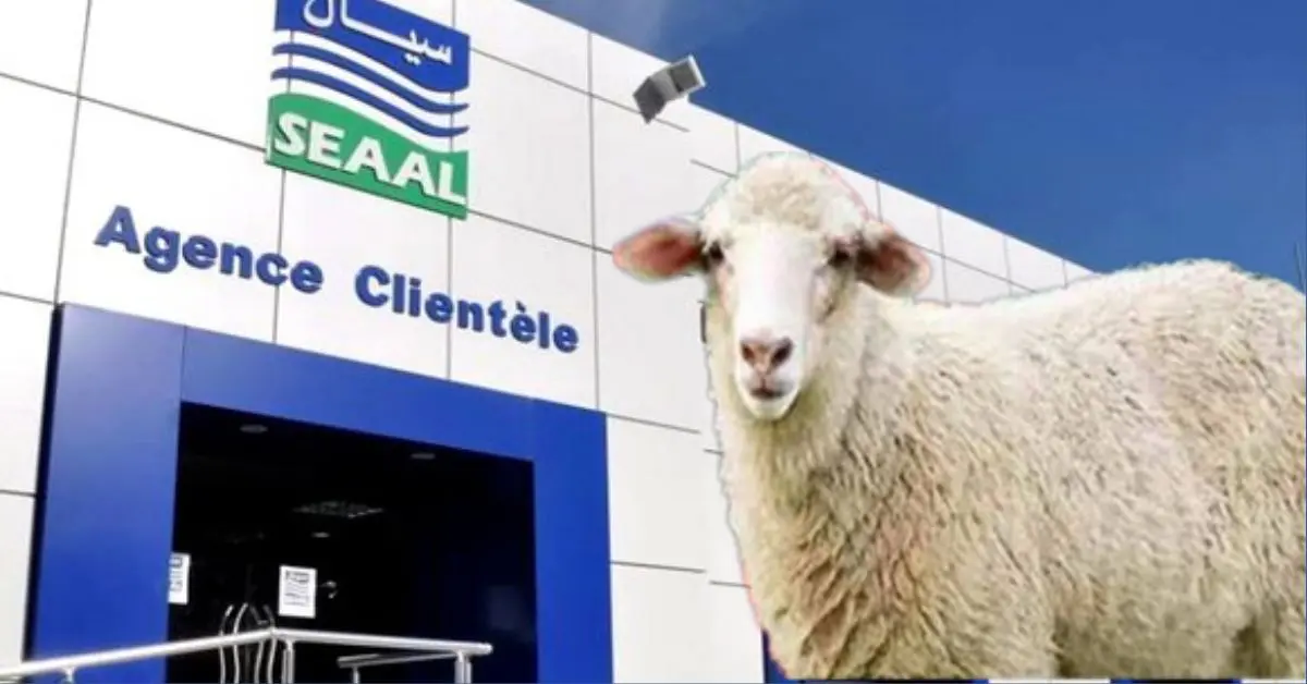 Aïd el-Adha 2023 : la SEAAL annonce le lancement de mesures spéciales