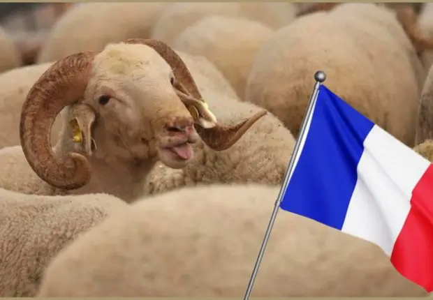 Aïd al-Adha 2023 en France : le CMTF annonce la date officielle