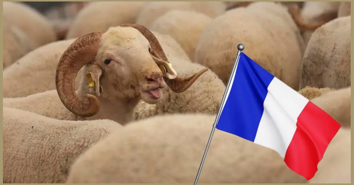 Aïd al-Adha 2023 en France : le CMTF annonce la date officielle