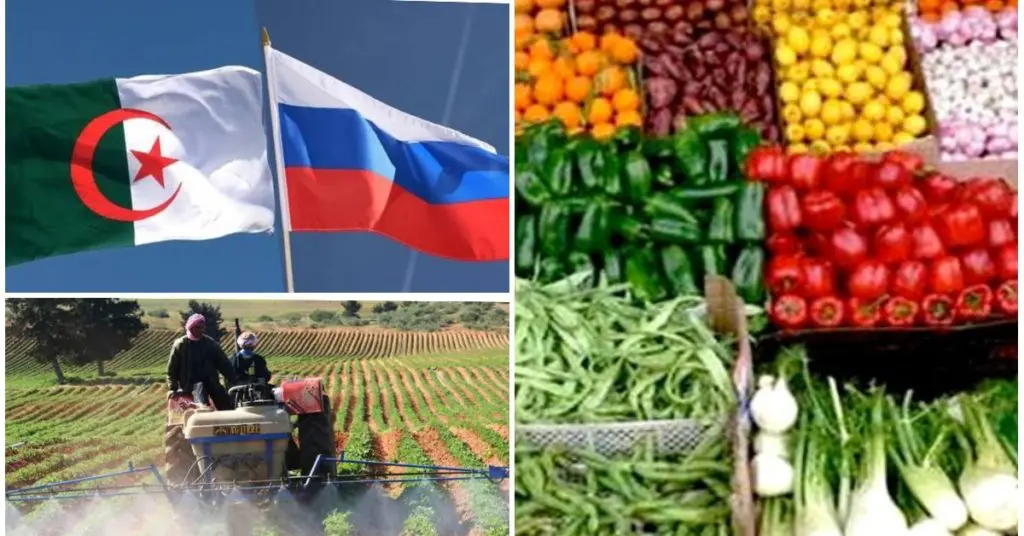 Les produits agricoles algériens bientôt exportés en Russie ?