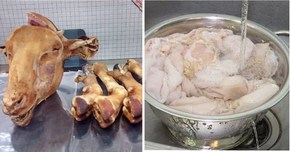 Services de nettoyage de « Douara » et de « Bouzellouf » payants : la nouvelle tendance ?