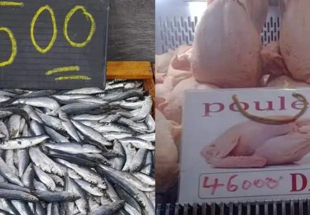 Quels sont les prix des viandes sur le marché algérien à l’approche de l’Aid El Adha 2023 ?