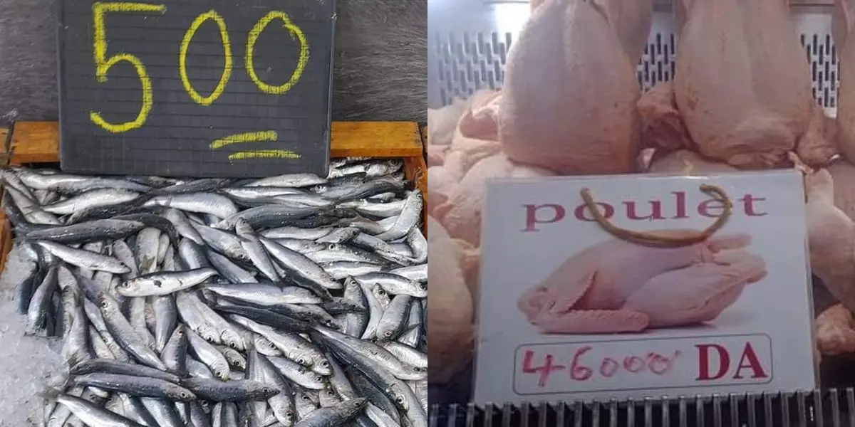 Quels sont les prix des viandes sur le marché algérien à l’approche de l’Aid El Adha 2023 ?